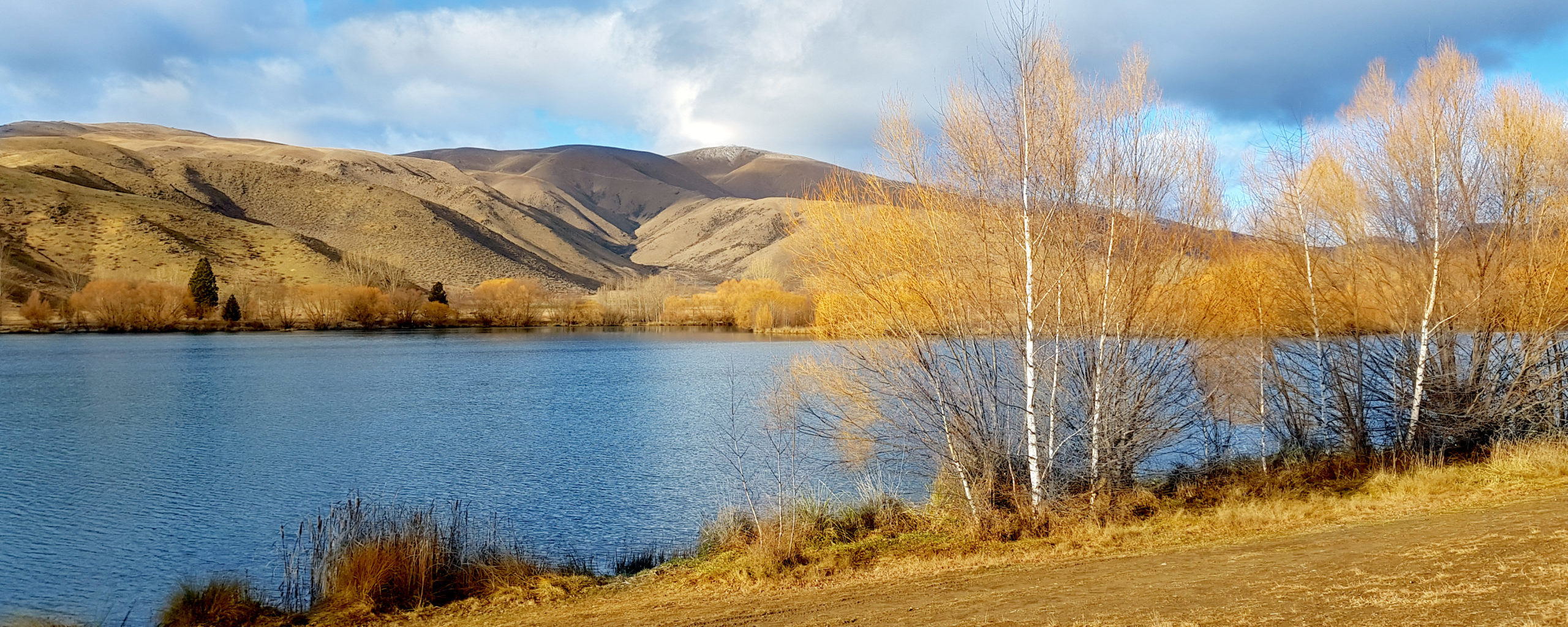 Image Alt